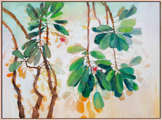 Beneath the Canopy
